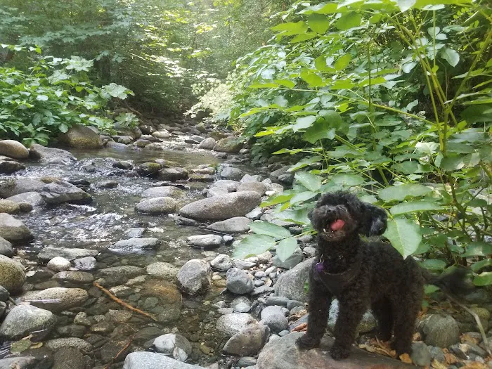 Rush Creek Campground Picture 9