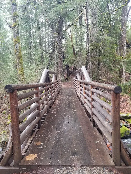 East Weaver Campground Picture 1