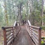 East Weaver Campground