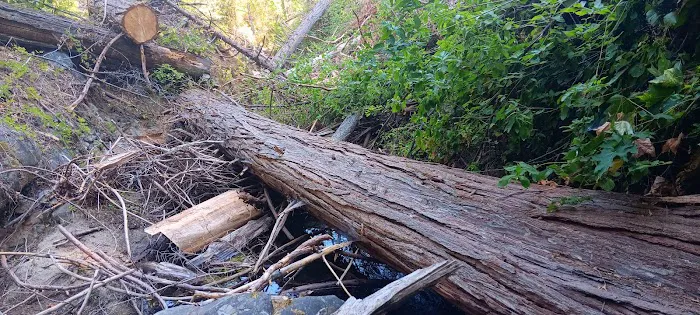 East Weaver Campground Picture 10