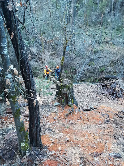 East Weaver Campground Picture 6
