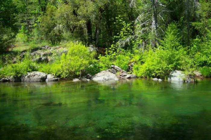 Madrone Campground Picture 2