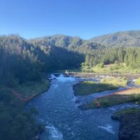Madrone Campground ico