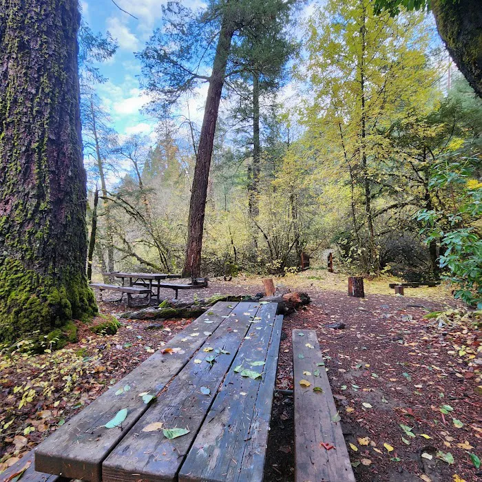 Madrone Campground Picture 3