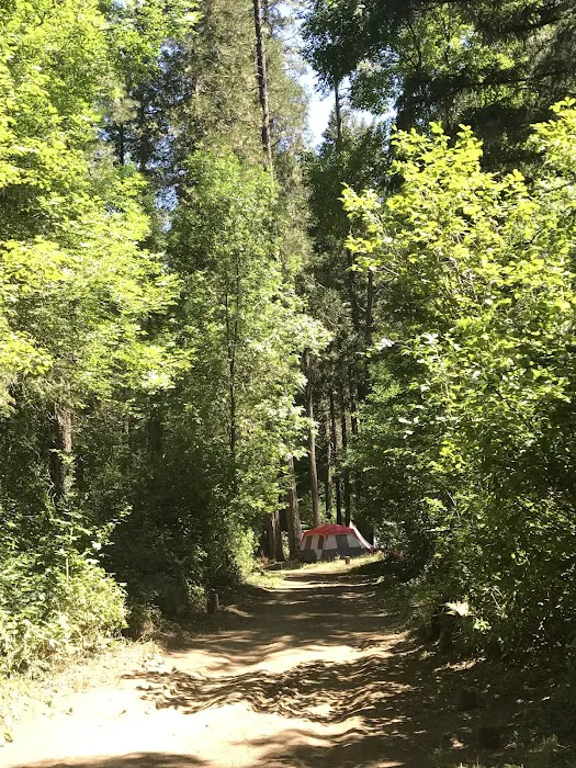 Madrone Campground Picture 7