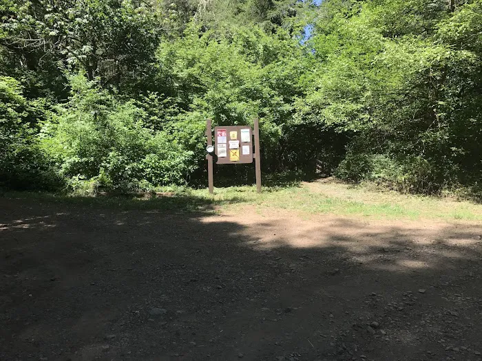 Madrone Campground Picture 9