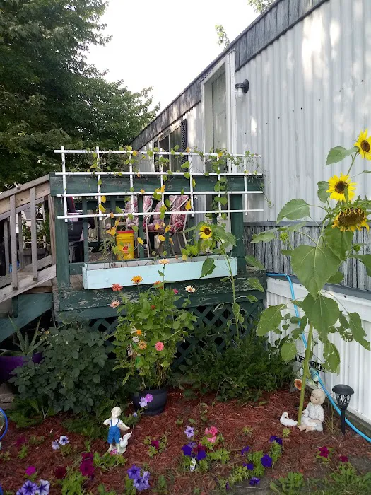 Country Manor Mobile Home Park Picture 2