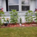 Country Manor Mobile Home Park