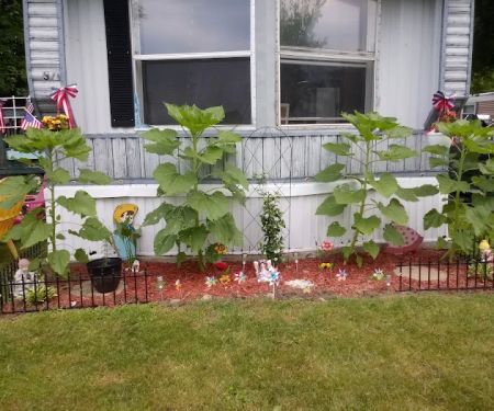 Country Manor Mobile Home Park