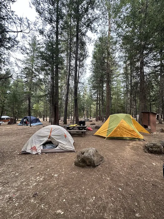 McArthur - Burney Falls Rim Campground Picture 6