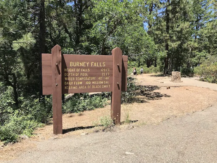 McArthur - Burney Falls Rim Campground Picture 2