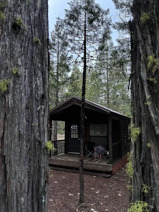 Pioneer Campground Picture 1