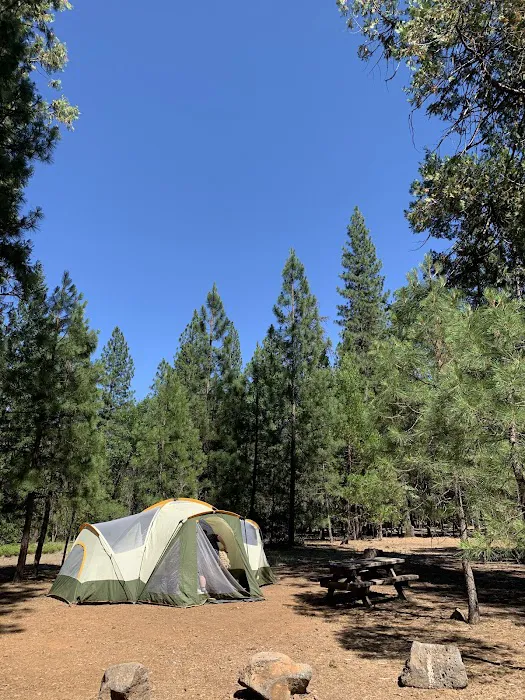 Pioneer Campground Picture 9