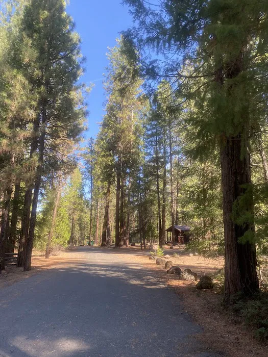 Pioneer Campground Picture 7