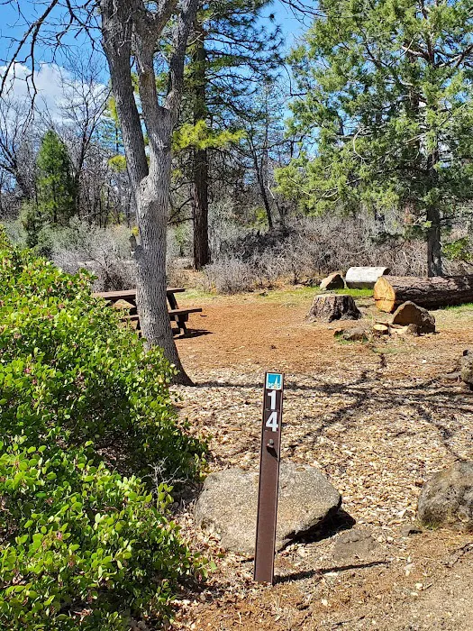 Cassel Campground Picture 9