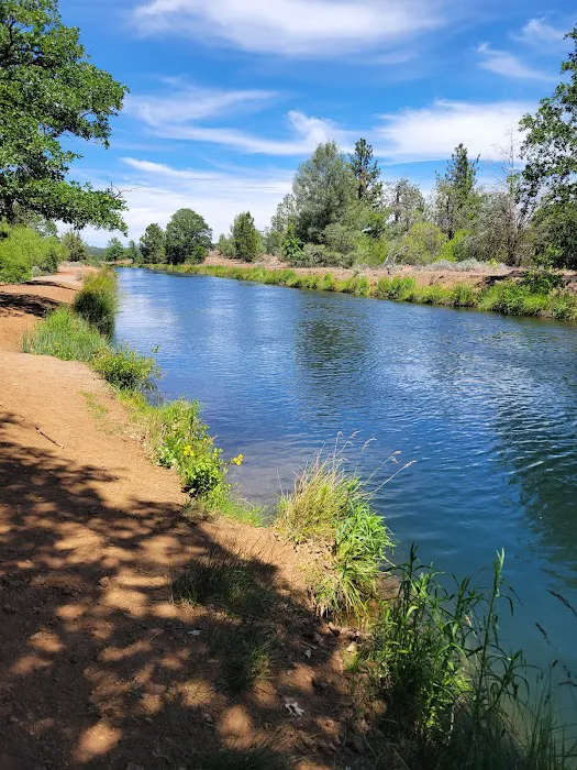 Cassel Campground Picture 4