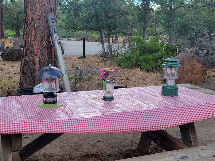 Cassel Campground Picture 7