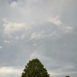 Wellington Estates Mobile Home