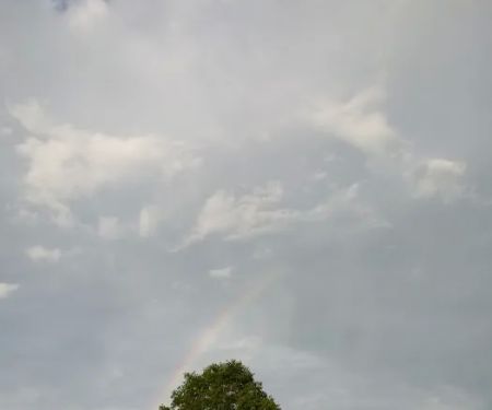 Wellington Estates Mobile Home