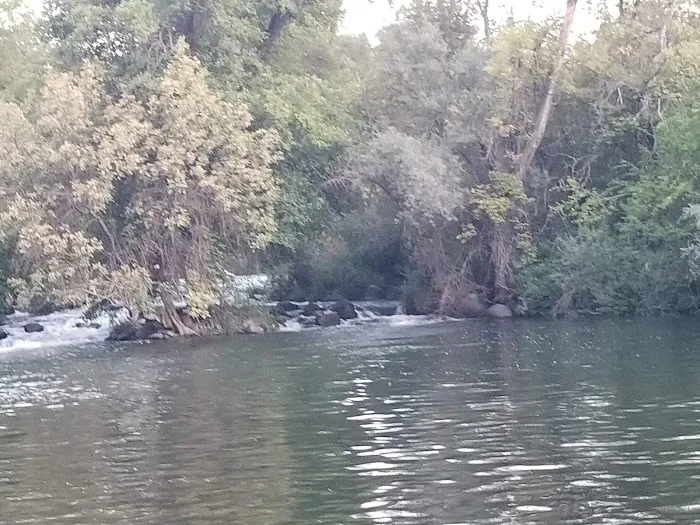 BLM Pit River Campground Picture 7