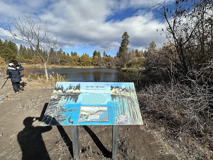 Crystal Springs Campground Picture 2