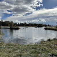 Crystal Springs Campground ico