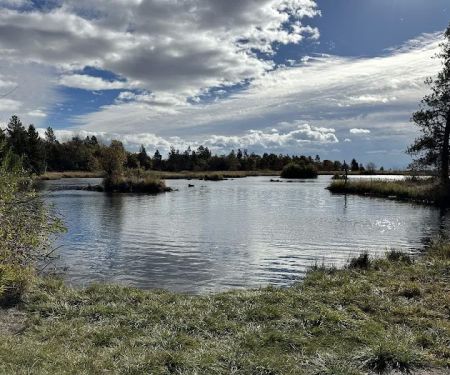 Crystal Springs Campground