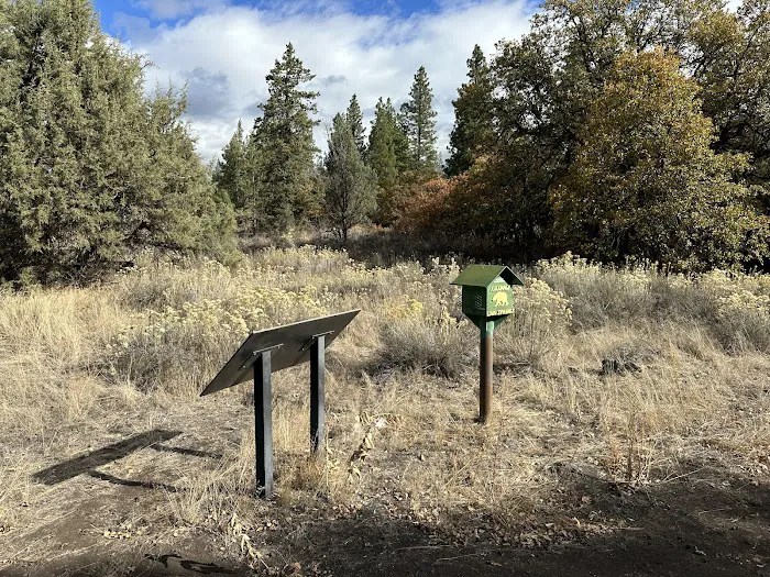 Crystal Springs Campground Picture 5