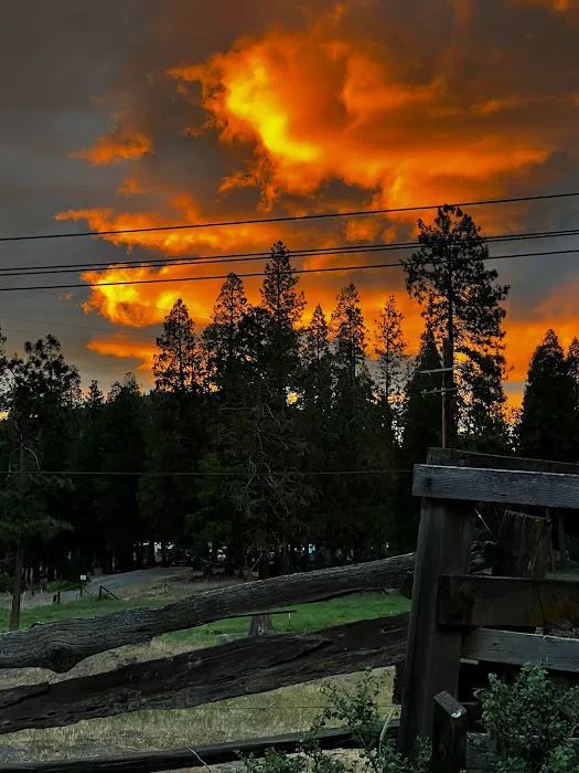 Hat Creek Hereford Ranch RV Park & Campground Picture 2