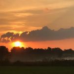 Lakeside Village 55+, on Wabasis Lake