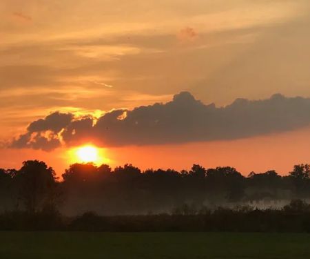 Lakeside Village 55+, on Wabasis Lake