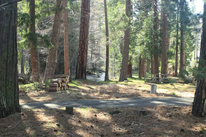 Honn Campground Picture 4
