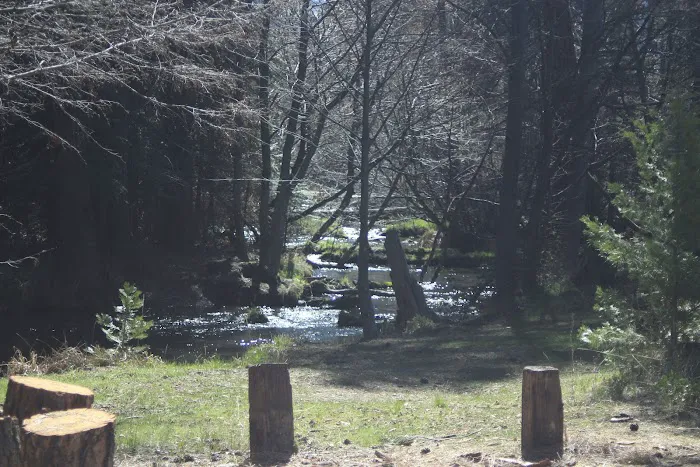 Honn Campground Picture 2