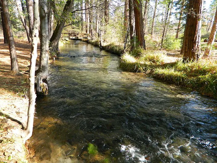 Honn Campground Picture 8