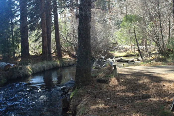 Honn Campground Picture 5
