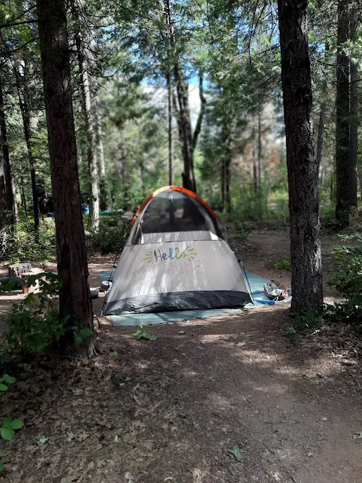 Sims Flat Campground Picture 3
