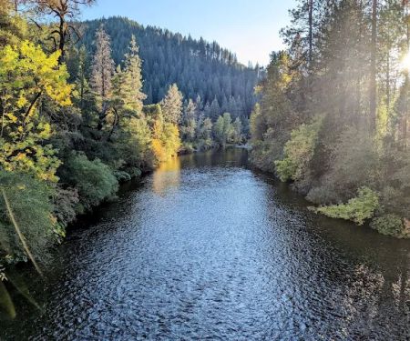 Sims Flat Campground
