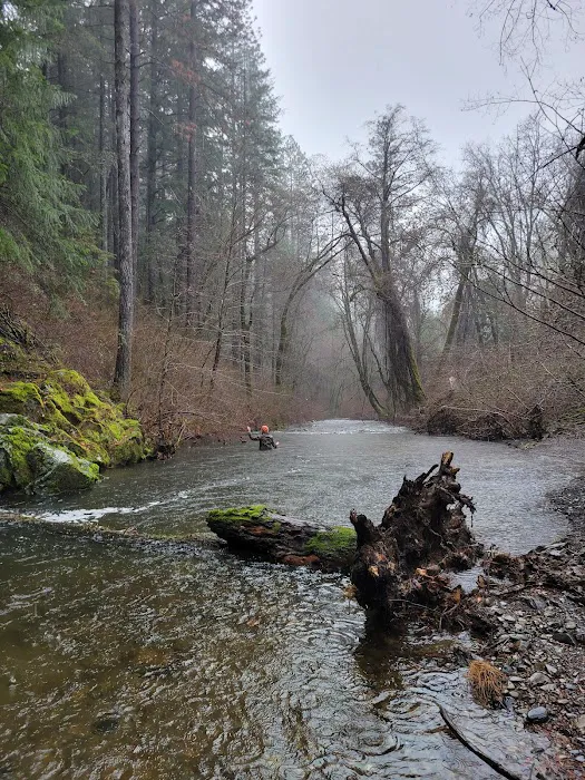 Sims Flat Campground Picture 10