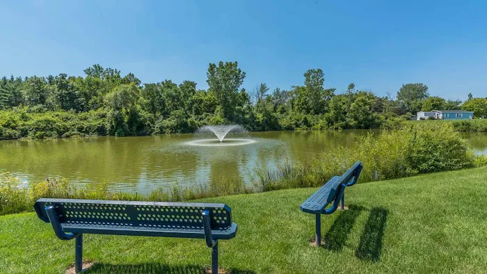 Ellery Creek Campground Picture 5