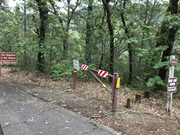 Moore Creek Campground Picture 9