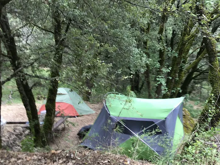 Moore Creek Campground Picture 7