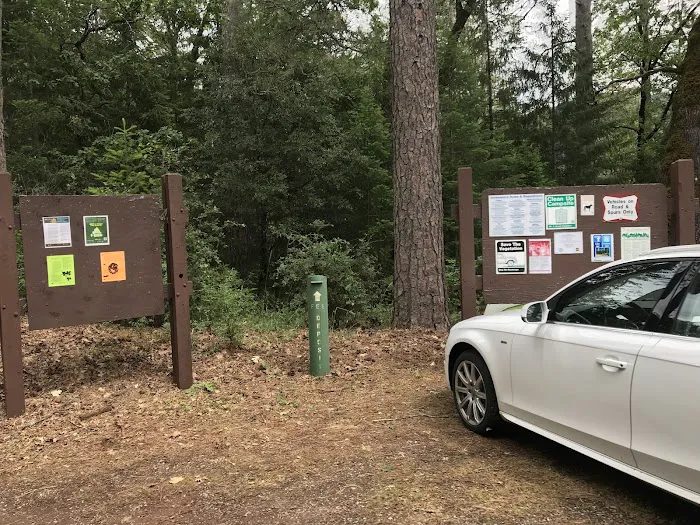 Moore Creek Campground Picture 10