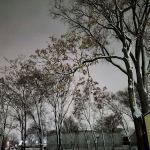 Eastern Villa Mobile Home Park