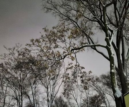 Eastern Villa Mobile Home Park