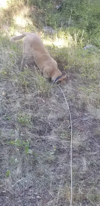 Mill Creek Campground Picture 8