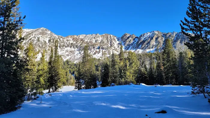 Branham Lakes Campground and Picnic Area Picture 8