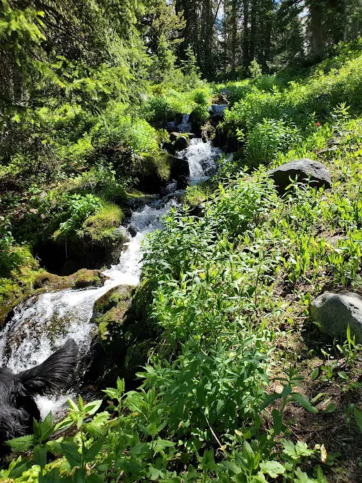 Branham Lakes Campground and Picnic Area Picture 10