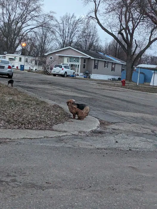 Paris Estates Mobile Home Park Picture 7