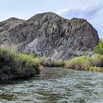 Barretts Park Campground