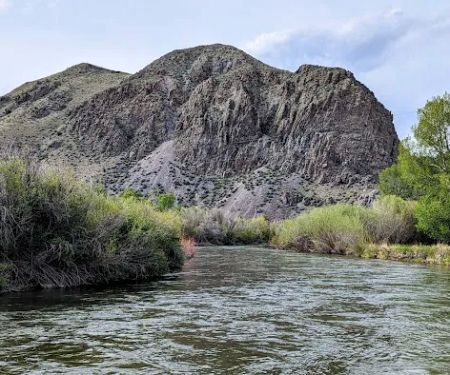 Barretts Park Campground